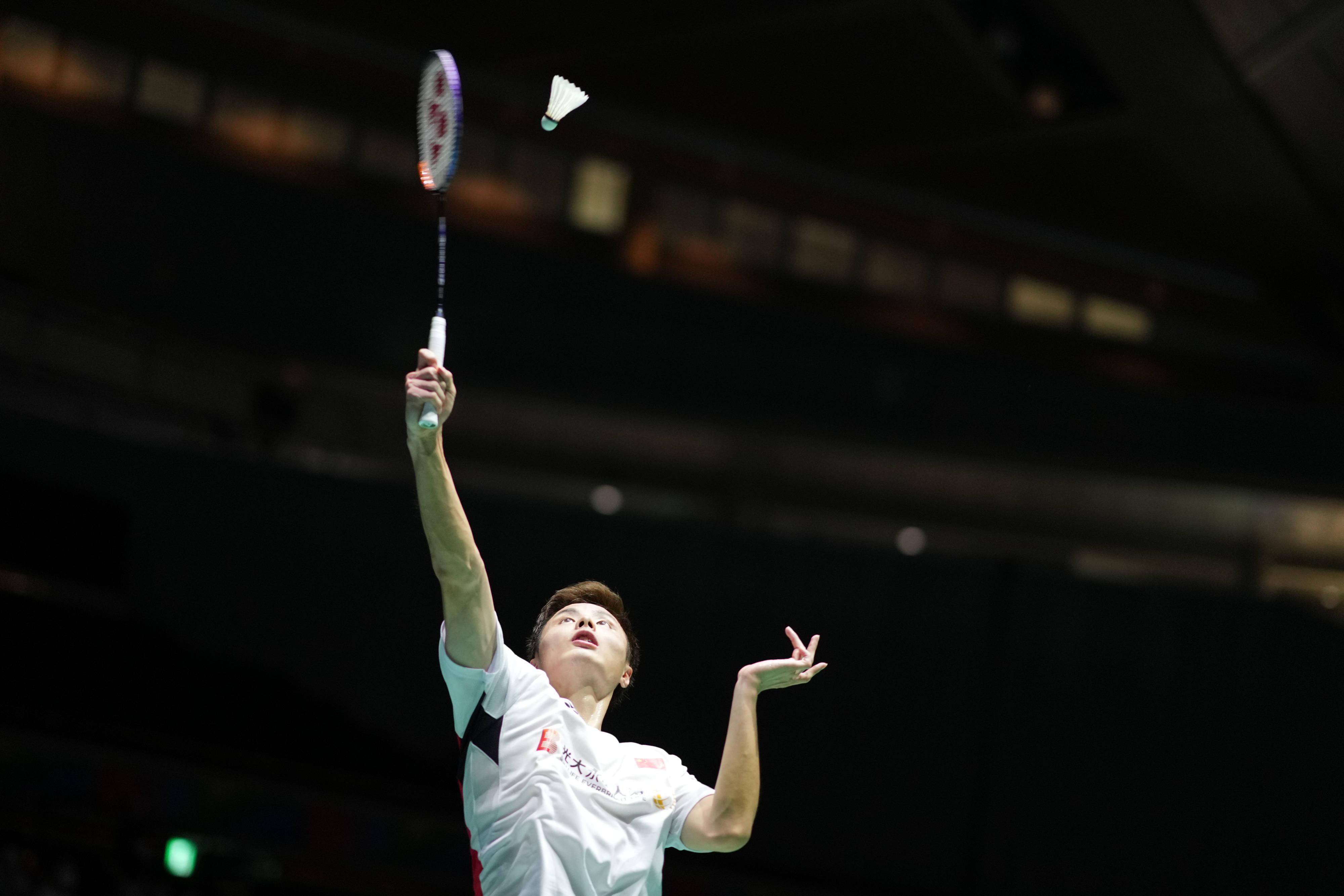 带来了不少 带来了不少