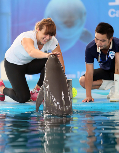 覆盖欧洲 覆盖欧洲