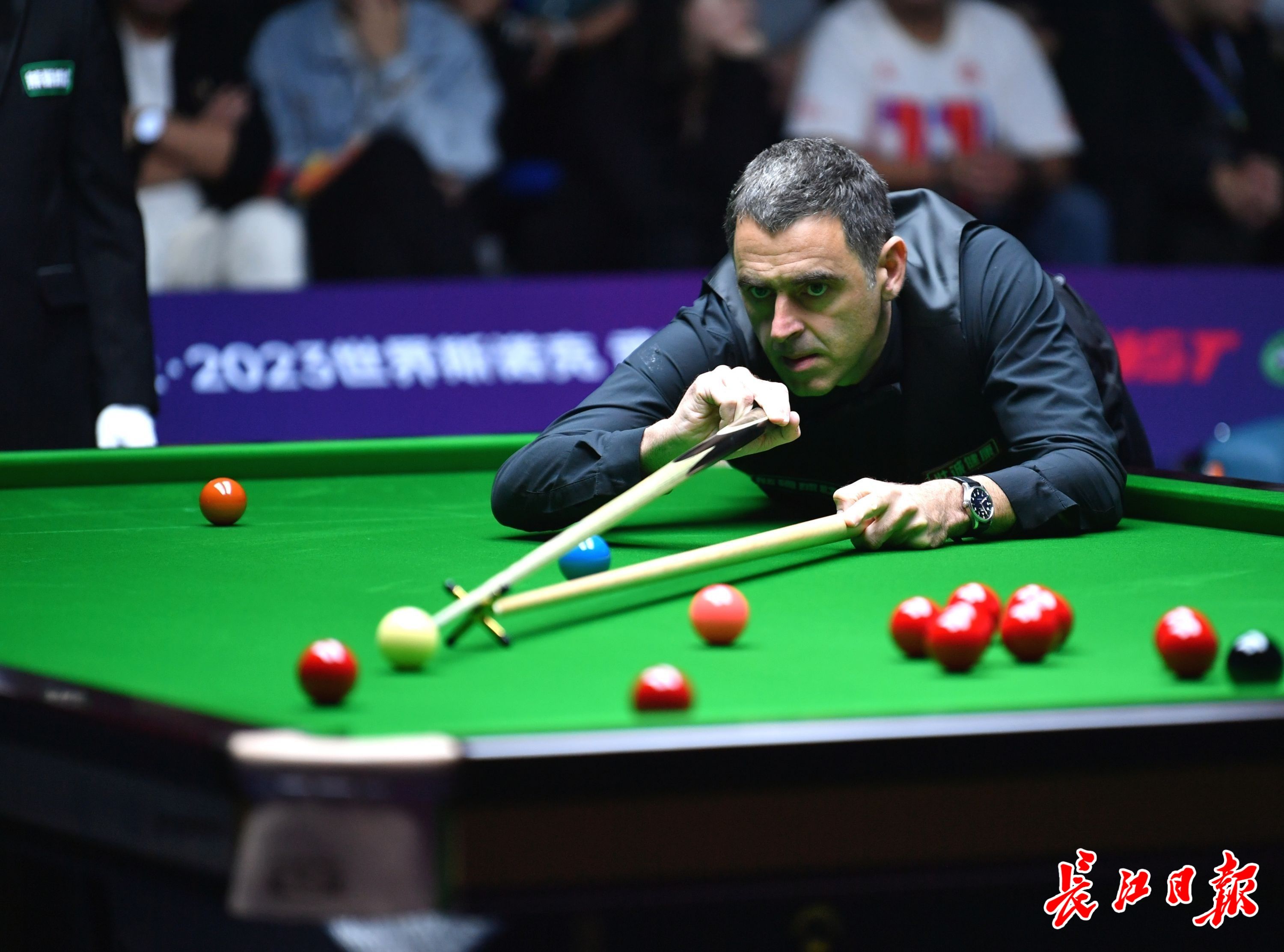 更是拜仁在 更是拜仁在